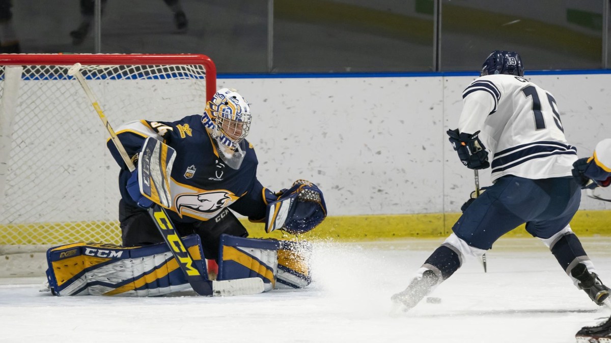 Bird Bites The Captain Thing, Goals and Insanity Chesterfield Sports